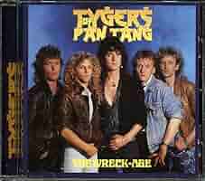 Tygers of Pan Tang/The Wreck-Age メロハー 71HP8uRG+ML._SY200_QL15_.jpg
